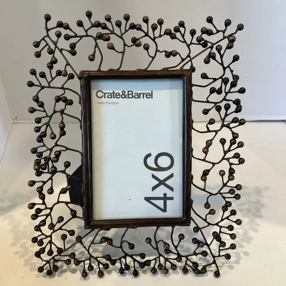 Crate & Barrel 4x6 Ornate Wire Branches Design Bronze Picture Frame